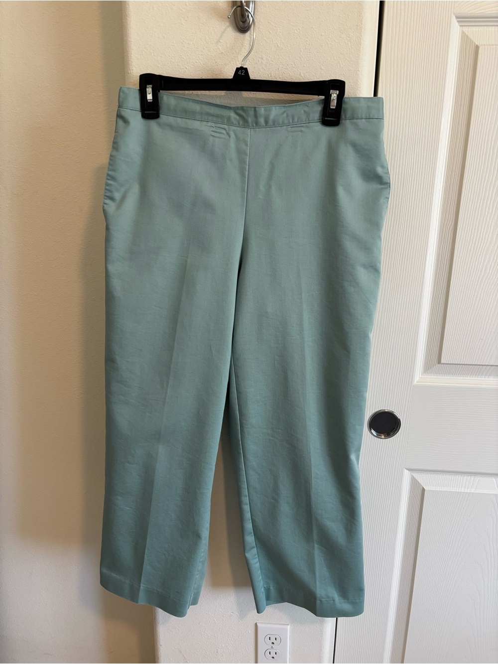 Alfred Dunner Straight-Leg Pants in Light Sage